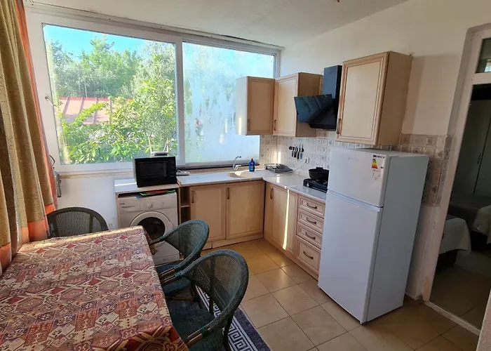 The Tulip Apartment