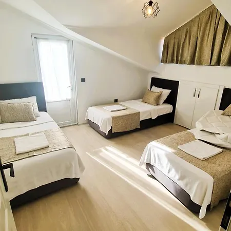 The Tulip Apartment