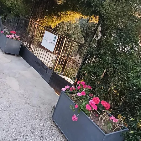 The Tulip Apartmán
