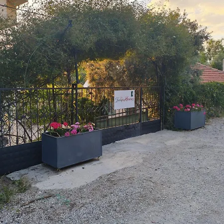 Apartament The Tulip *