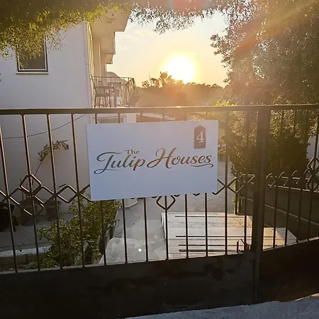 The Tulip Apartament