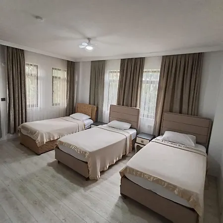 Apartament The Tulip